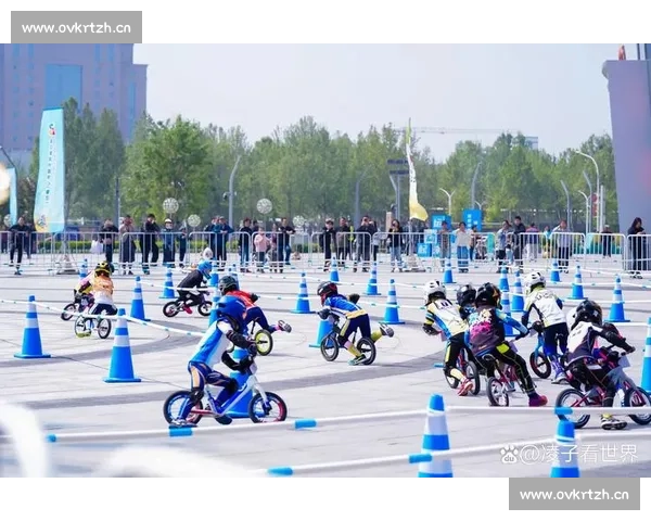 新手入门必看最容易看懂又精彩刺激的体育赛事推荐全面精选榜单 - 副本 (3)